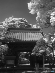 三宝寺の山門