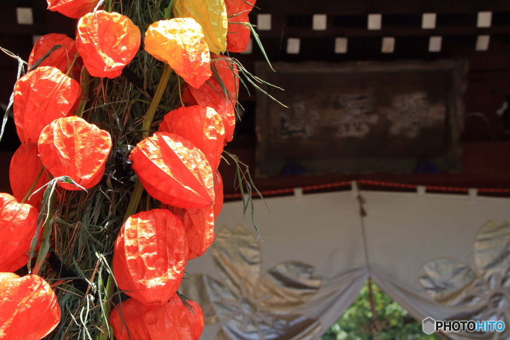 深大寺、鬼燈まつり2