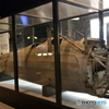 所沢航空発祥記念館_7