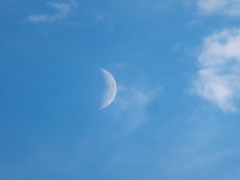 月
