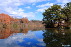 厳島神社と三宝字池