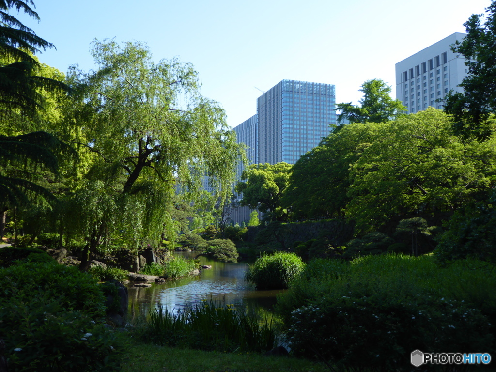 日比谷公園の新緑02