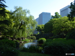 日比谷公園の新緑02