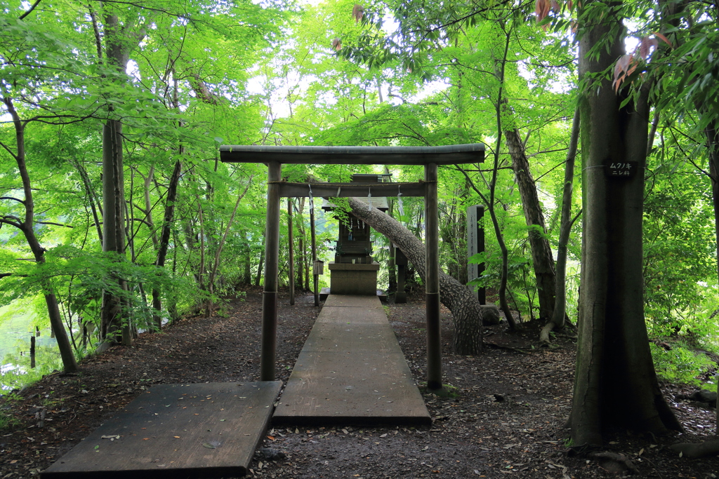 緑に囲まれる水神社