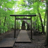 緑に囲まれる水神社