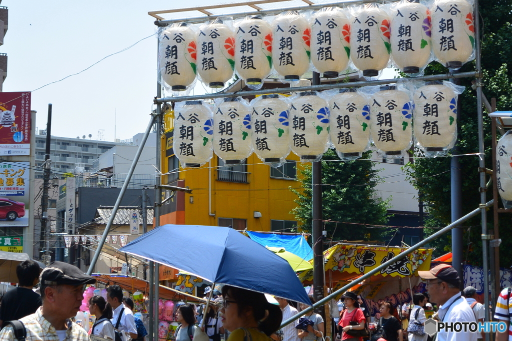 入谷朝顔市1