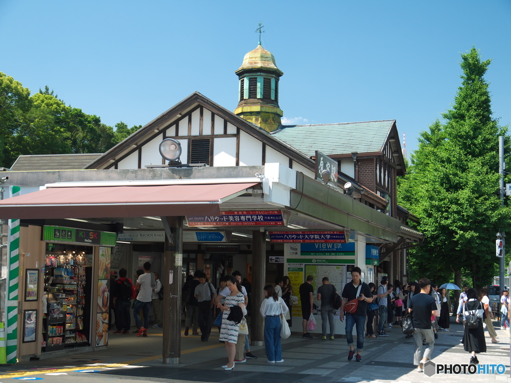 新緑の明治神宮06