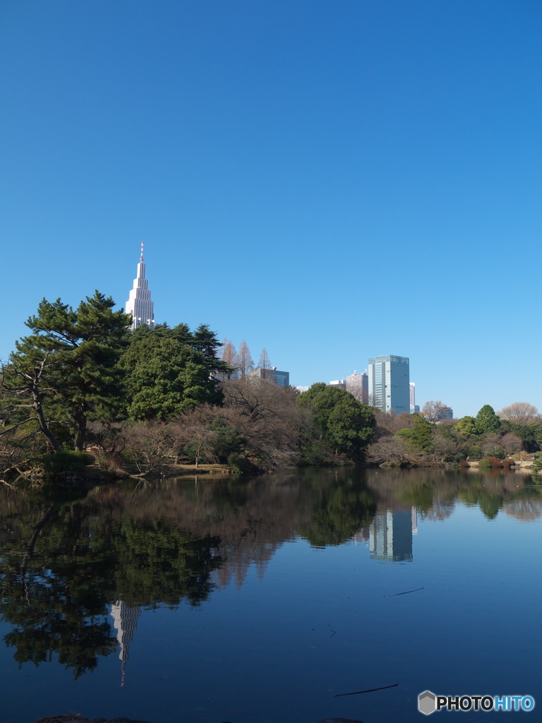 正月の新宿御苑_4