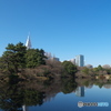 正月の新宿御苑_4