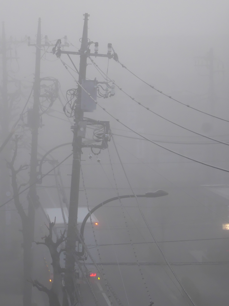 霧の朝