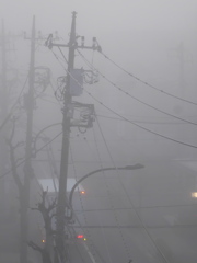 霧の朝
