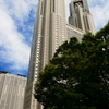 東京都庁