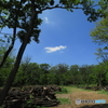埼玉県営和光樹林公園7