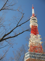 冬枯れ