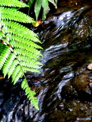 渋谷、広尾周辺7