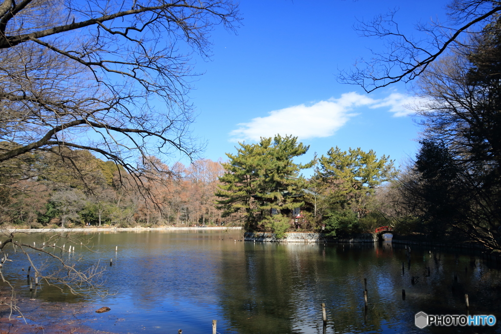 三宝寺池