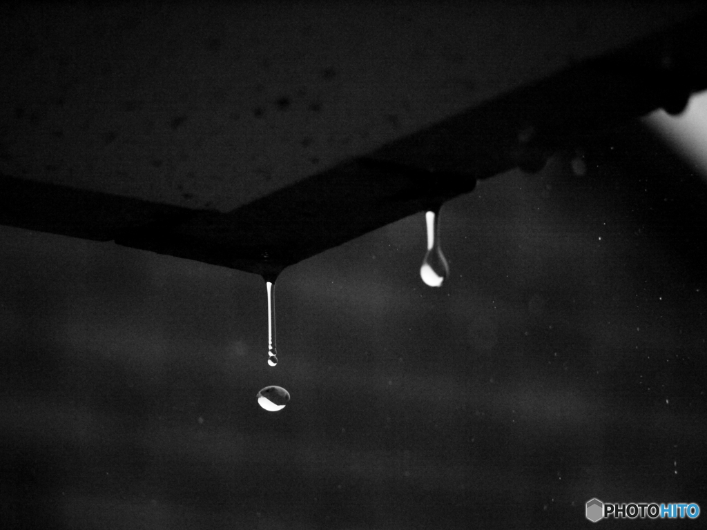 今日も雨１