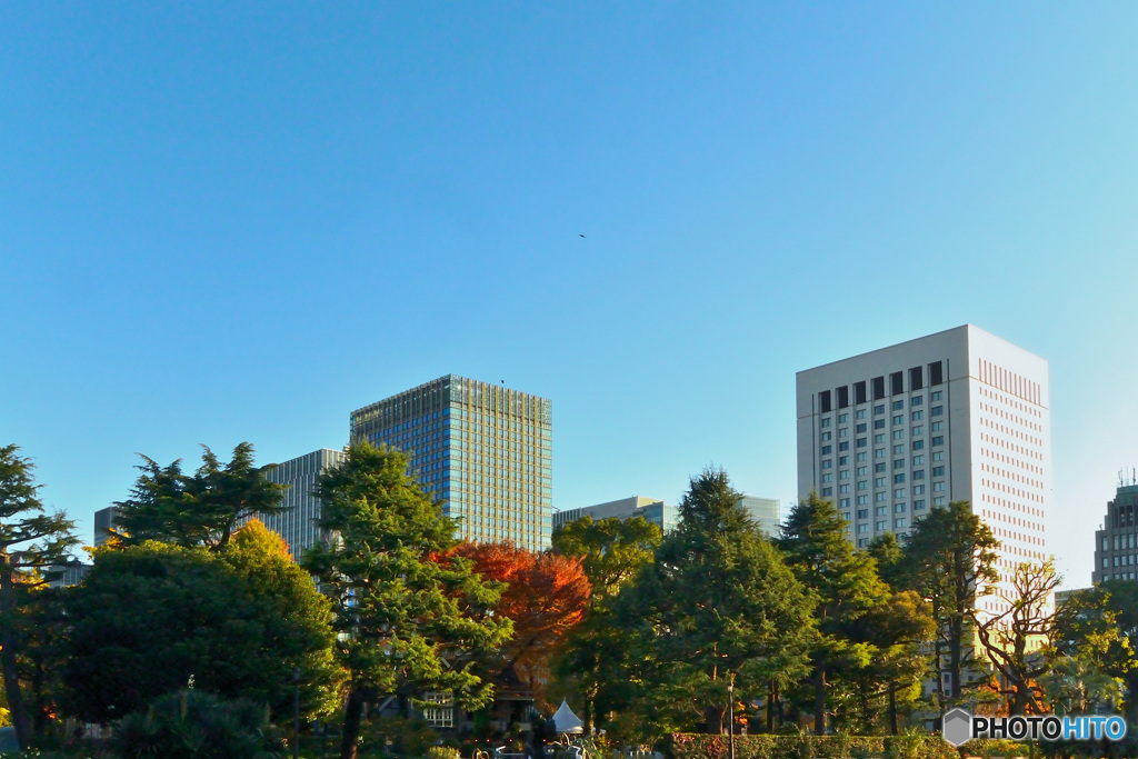 朝の日比谷公園