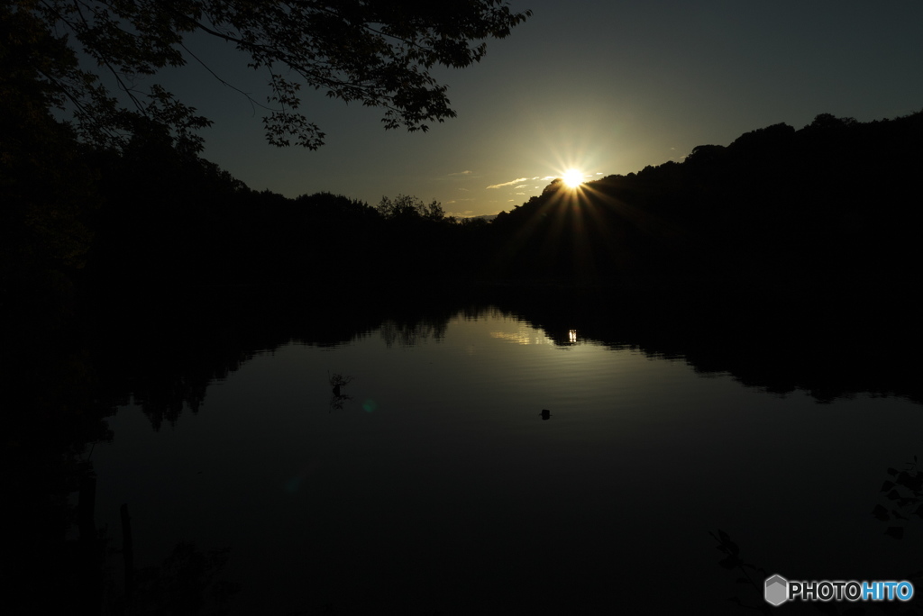 夜明けの石神井公園１