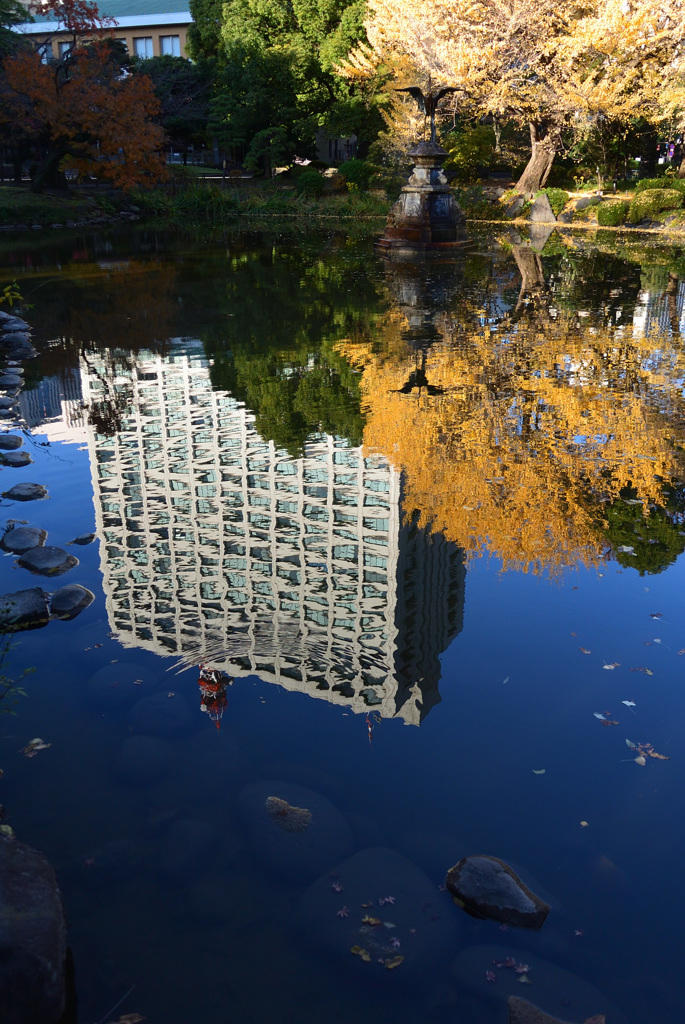 日比谷公園の紅葉_5