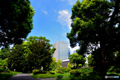 日比谷公園