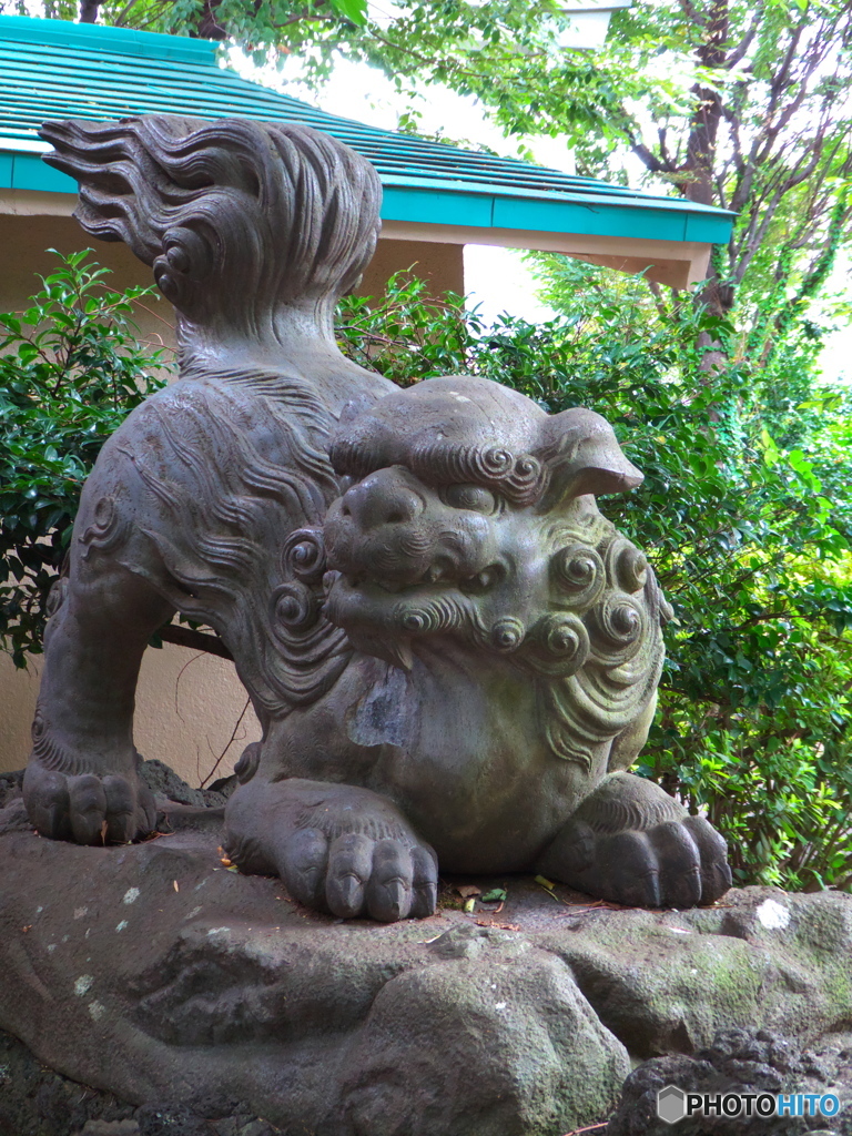 下落合氷川神社の狛犬１