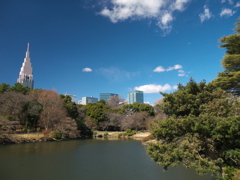 早春の新宿御苑