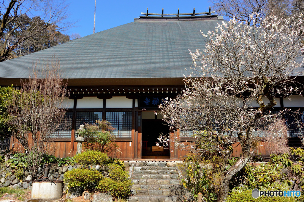 海禅寺、本堂