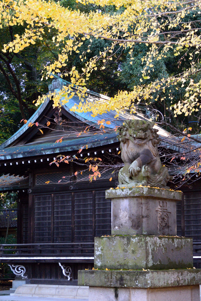 三宝寺 01 by HY13 （ID：5071106） 写真共有サイトPHOTOHITO
