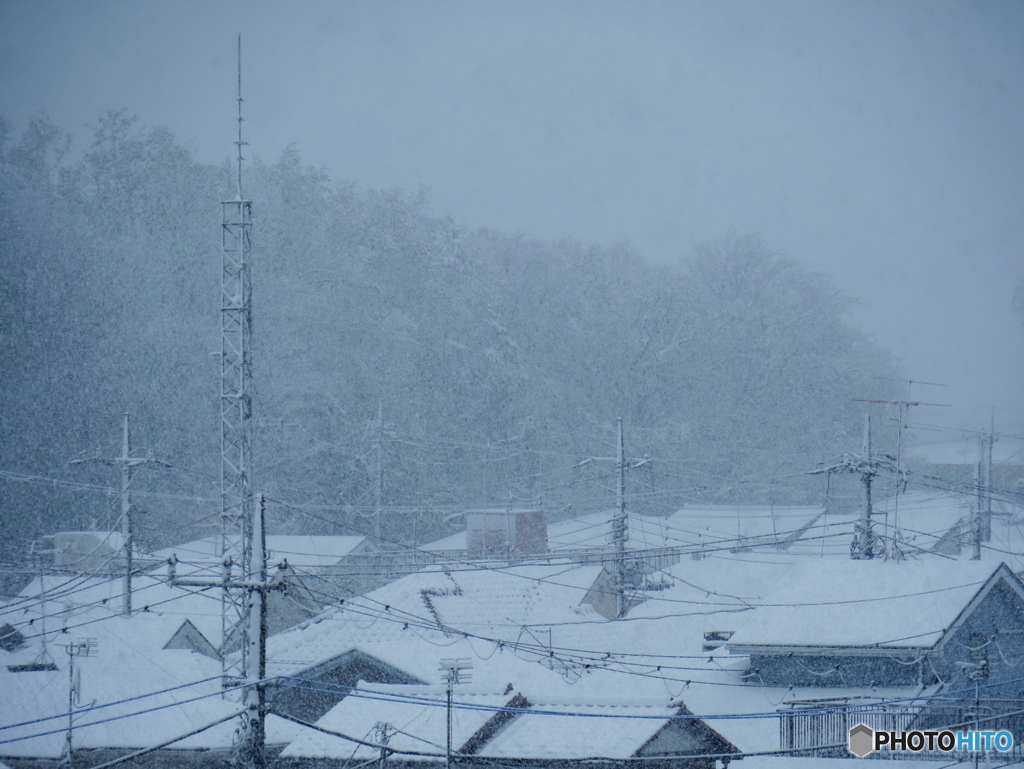 雪に煙る