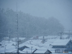 雪に煙る