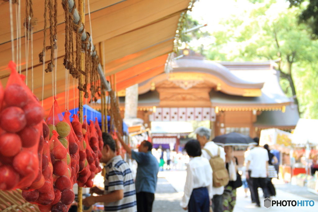 大國魂神社のすもも祭り3