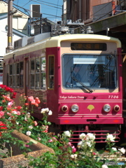 都電荒川線04