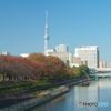 横十間川と東京スカイツリー