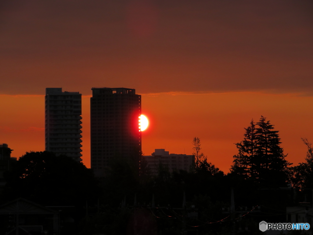 ８月１３日の朝日1