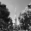 東京タワー