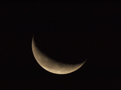 二十六夜の月