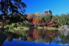 紅葉の小石川後楽園２