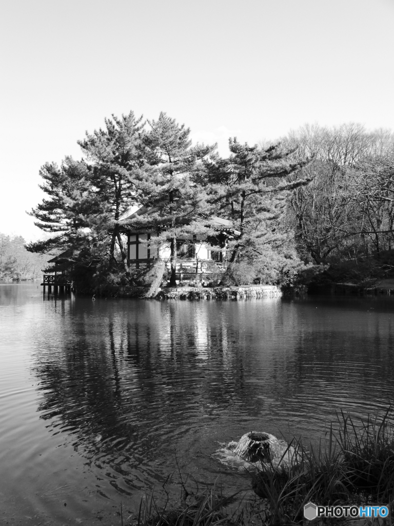 新年の石神井公園(2017年)1