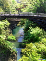 初夏の猿橋と桂川3