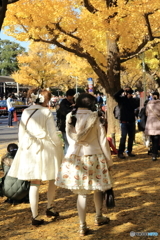 神宮外苑のイチョウ並木5