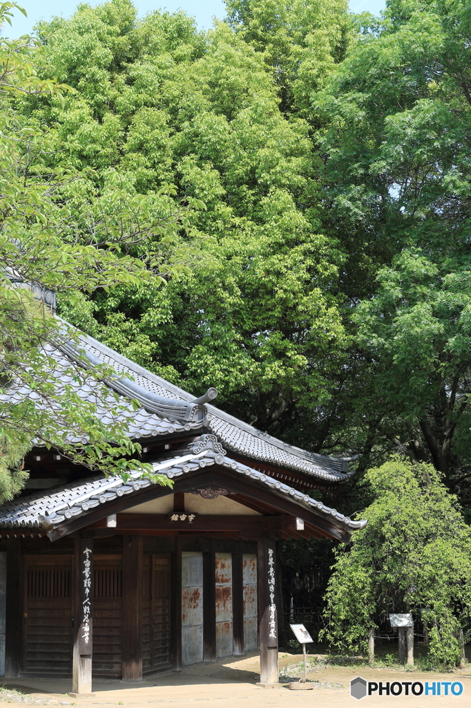 哲学堂公園5
