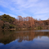 三宝寺池