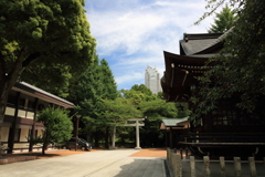 熊野神社境内