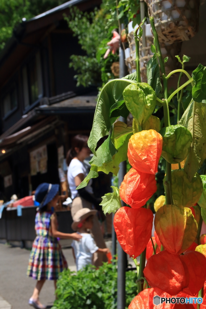 深大寺、鬼燈まつり7
