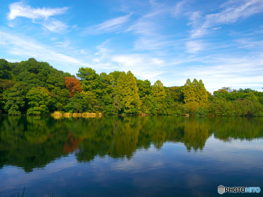 石神井公園－１