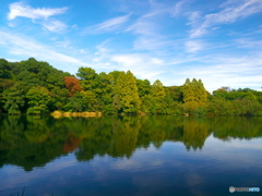 石神井公園－１