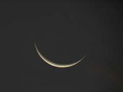 夜明けの細い月