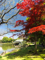 清澄庭園