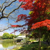 清澄庭園